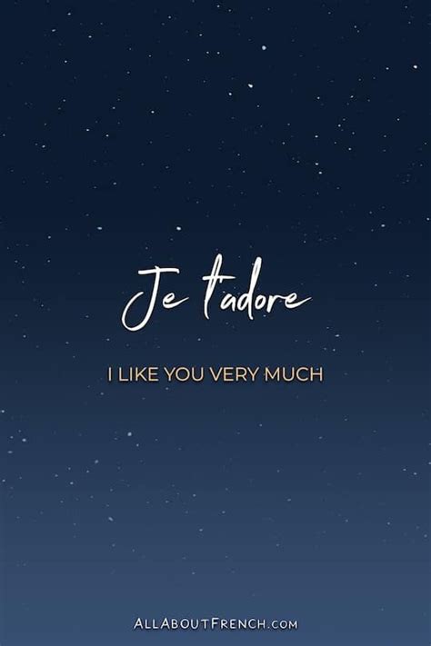 what does je t'adore mean.